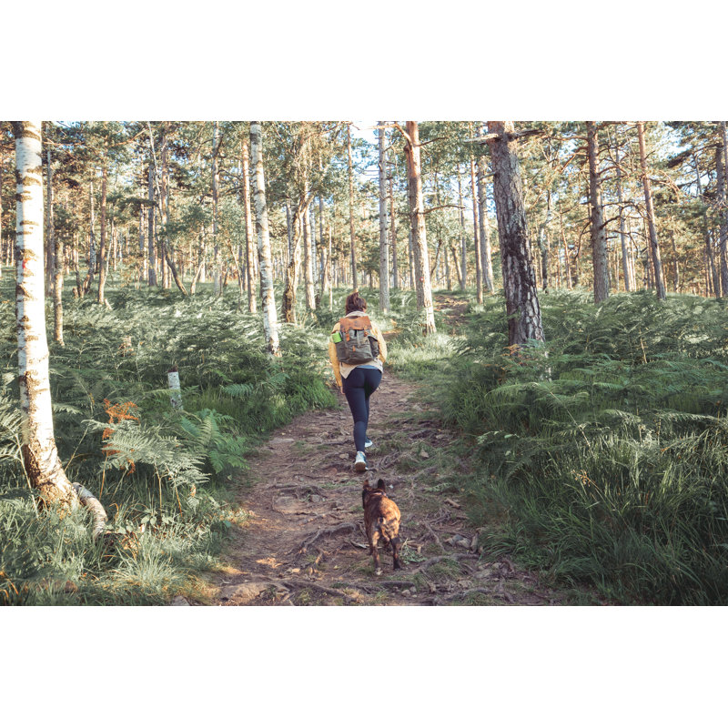 No Better Adventure Buddy par Lukatdb, H 8 po x l 12 po
