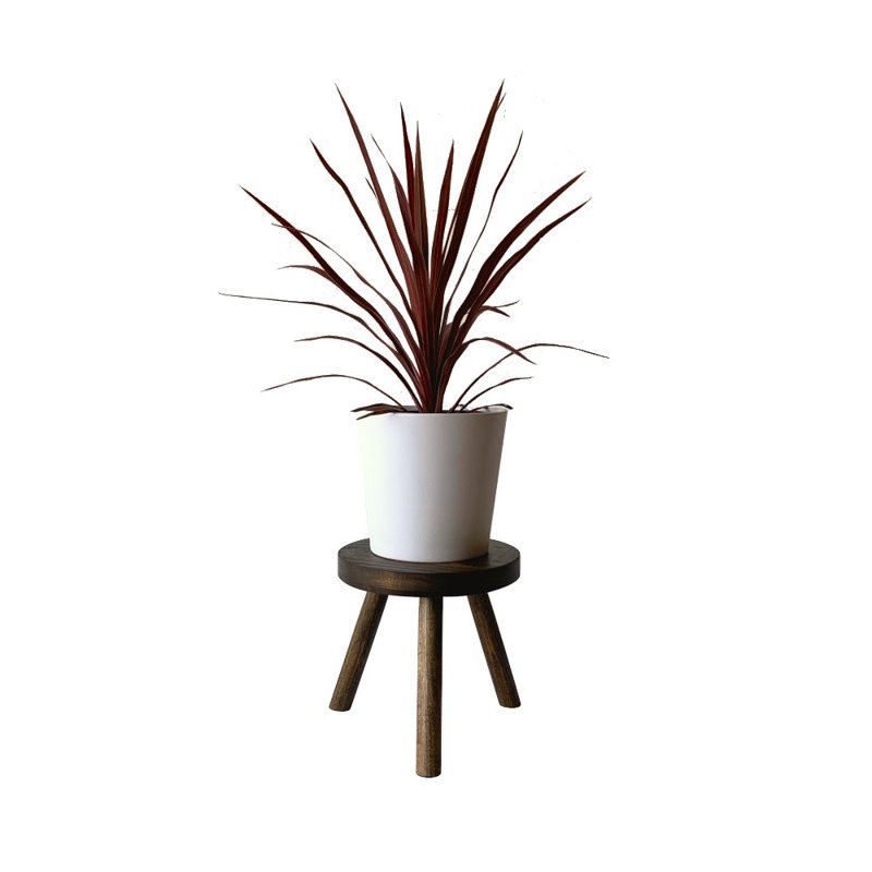 Support pour plante Abraam, Noyer