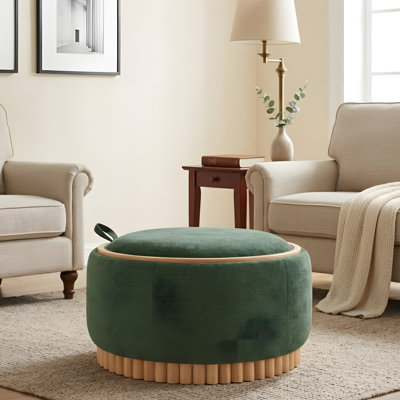 Dual-purpose Flip-Top Storage Footstool