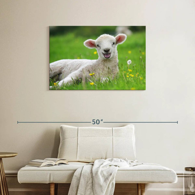 Brampt Funny Lamb, 24" H x 36" W