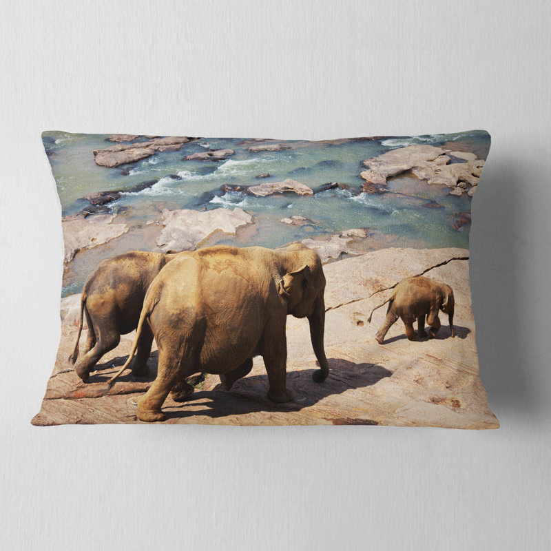 Coussin Schafer