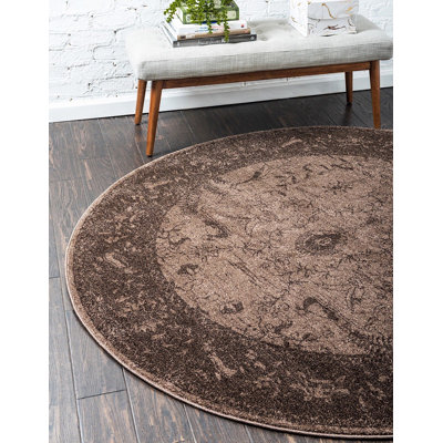 Soledad Oriental Indoor Rug