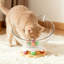 Nid de chat Space Capsule pour petits chats (comprend une baguette de teaser)