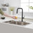 VIBRANTBATH Pull Down Kitchen Faucet-92888604
