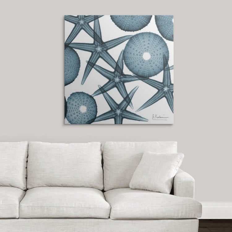 Starfish X-Ray Coastal, 20" H x 20" W x 1.5" D, Canvas