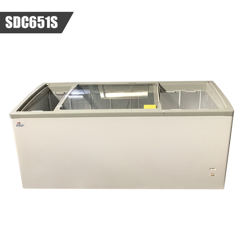 19 pieds cubes Congélateur de marchandisage