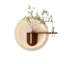 Décoration murale ronde en forme de plante verte crème-1577441217