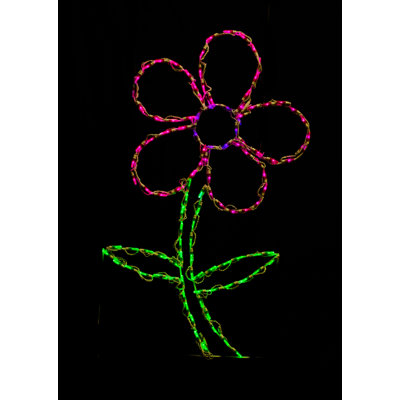 Daisy led lumière