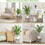 Plant Stand - Set of 3