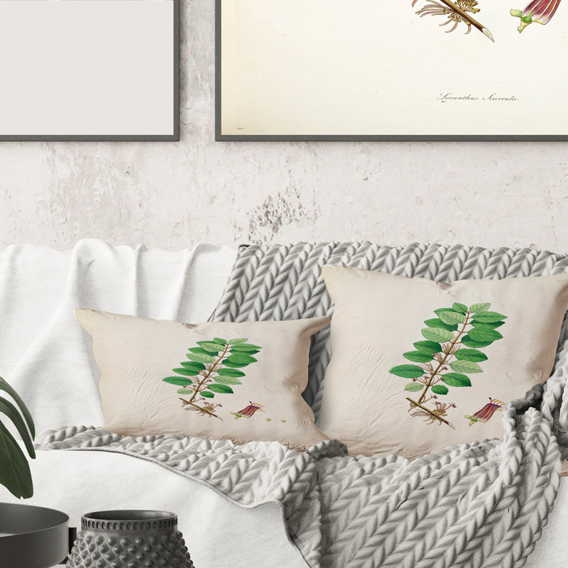 Coussin Vintage Plant Life XVII - Farmhouse, 18" x 18"