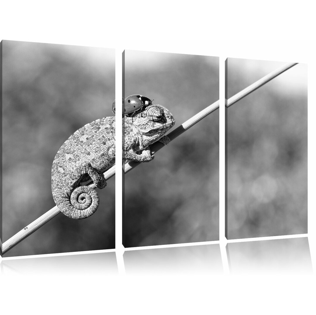 3-tlg. Leinwandbilder-Set „Süßer Gecko mit einem Marienkäfer“, Fotodruck