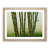 Oak Framed