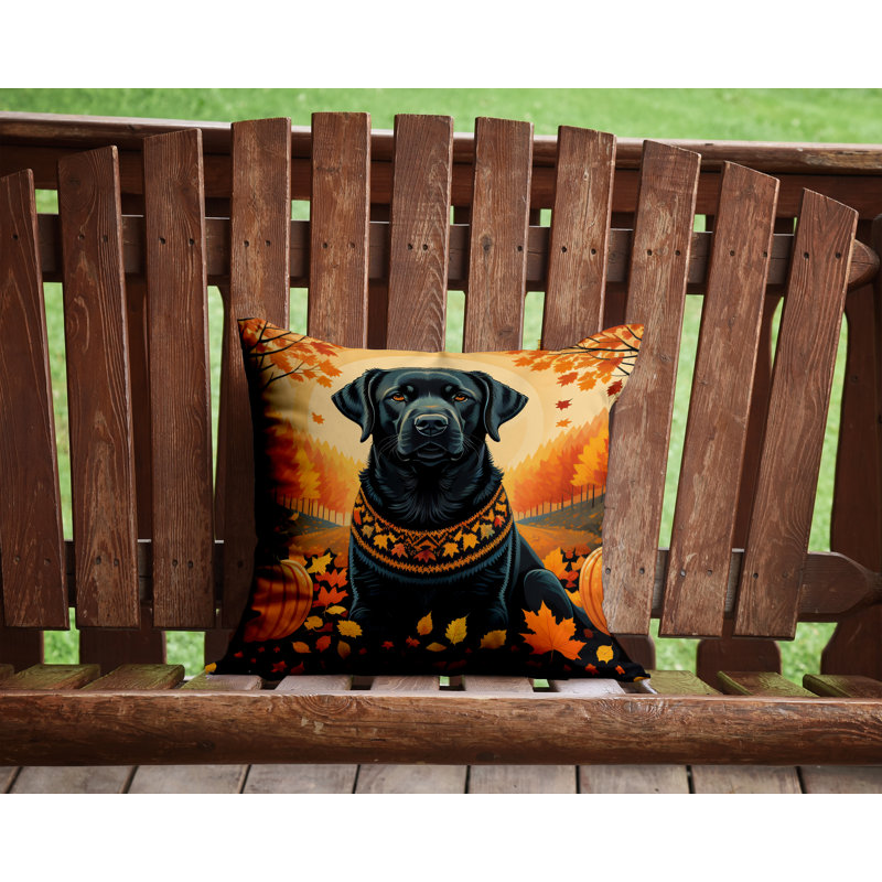 Coussin décoratif intérieur / extérieur en polyester Autre / Sans motif, 14 po x 14 po