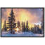 Coucher de soleil, hiver, pin, neige, forêt, nature, photographie, paysage sauvage, paysage, décor-99141809-99141813
