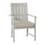 Croquet Patio Dining Armchair with Cushions-24278362-62498462-63310350