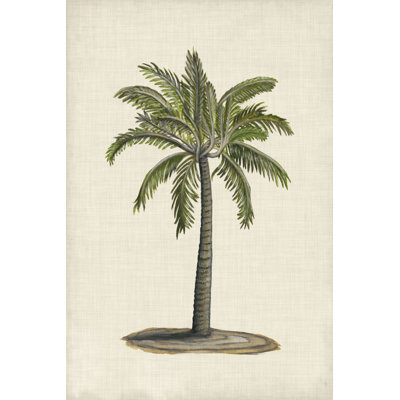 " UA CH British Palms I " by Naomi McCavitt