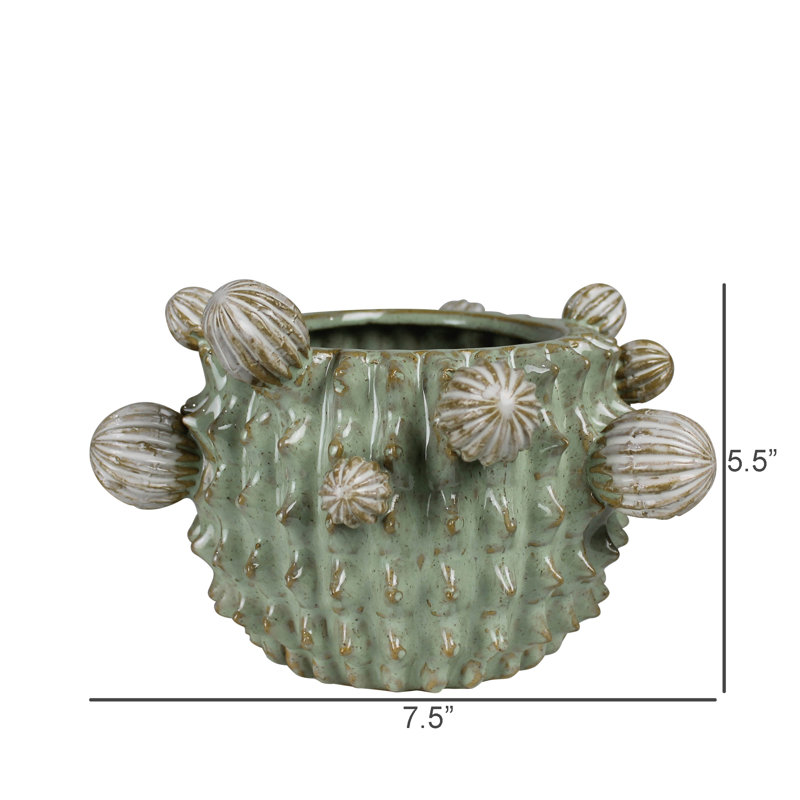 Cache-pot Cactus, céramique - 4 po