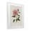 «Rosie Rose Flower Blossom», reproduction d'art sous verre, design par Nan