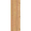 Sapin Douglas-109329541-113998552