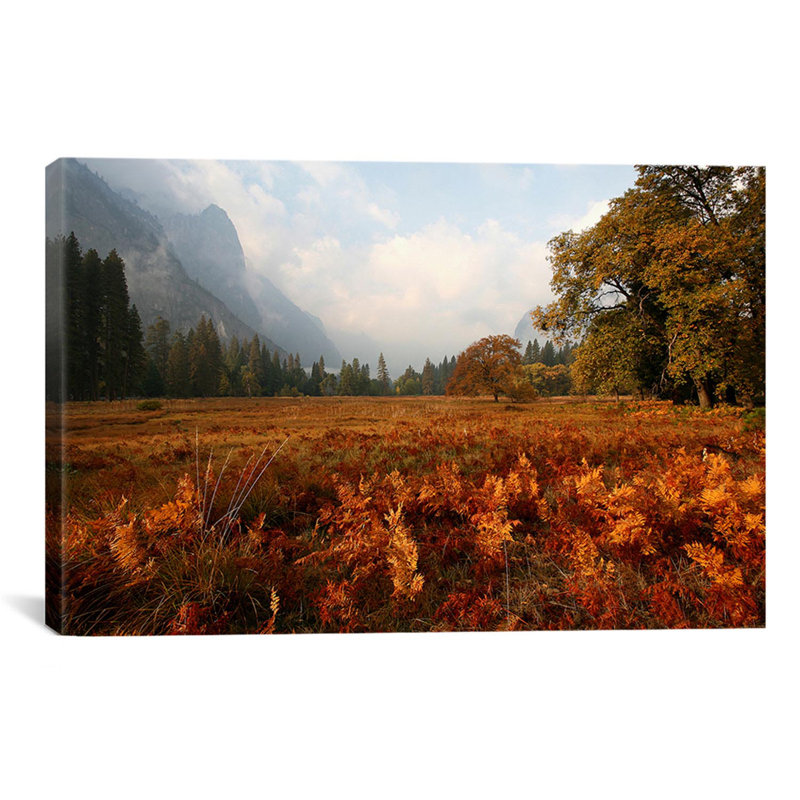 « pré », reproduction de photo sur toile, H 12 po x l 18 po x P 1,5 po, Pas de tapis, Toile tendue