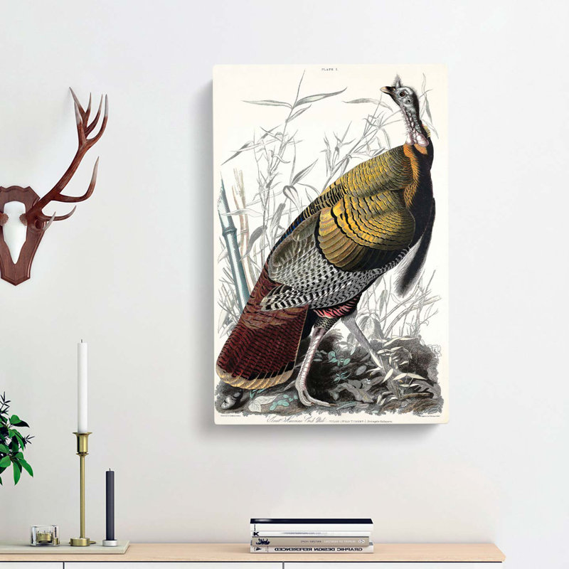 Wild Turkey by John Audubon - Wrapped Canvas Painting, 50cm H x 35cm W x 3cm D
