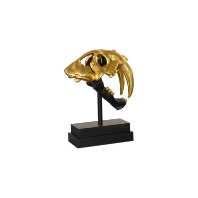 Saber Tooth Tiger Skull