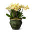 Volcanic Vases Ceramic Planter