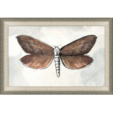 Painted Butterfly Diagram 2 Painting