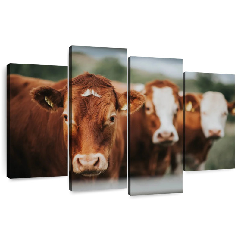 Brampt Brown Cattle, 27" H x 43" W