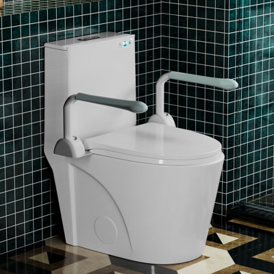 ADA One-Piece Elongated Toilet with Armrests, Comfort Height 17.1", Dual Flush 1.1/1.6 GPF, 1000g MAP Performance
