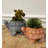 Arminan Planter-2116205871-2084642584