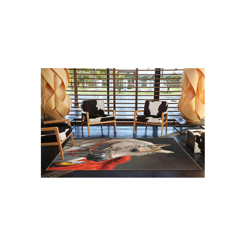 Tapis décoratif à motif animal de cheval orange lavable à la machine, Tapis de couloir 4 pi 11 po x 9 pi 10 po inclus