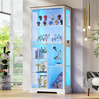 Display Case With 3 Color Lights