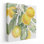 Citrus Charm Lemons II - reproduction d'art sur toile