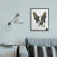 Curieux Boston Terrier Portrait-690480726-690480732