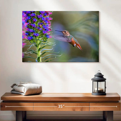 Brampt Hummingbird Feasting