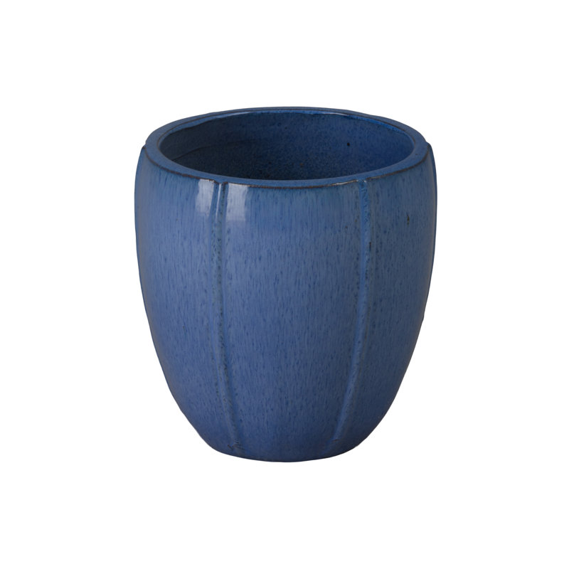 CREST PLANT, NEIGE, Bleu, H 13 po x l 12,5 po x P 12,5 po