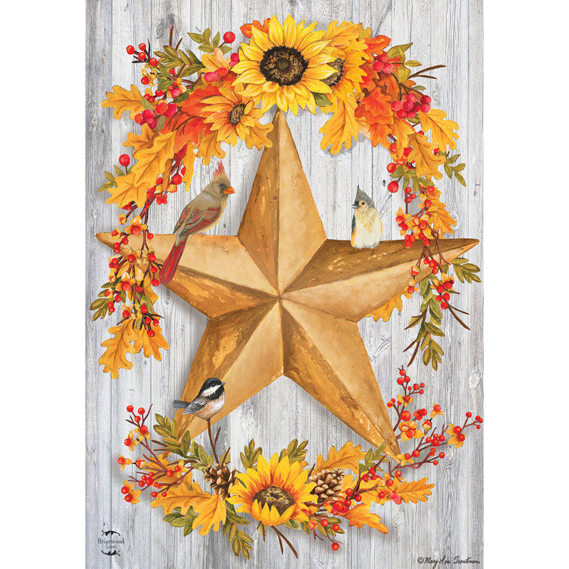 Drapeau de jardin rustique Barnstar
