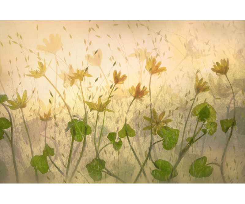 Wrapped Canvas Print, 50.8 cm H x 76.2 cm W