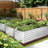 Denishia 96" W x 48" D Weather Resistant Galvanized Metal Raised Garden Bed