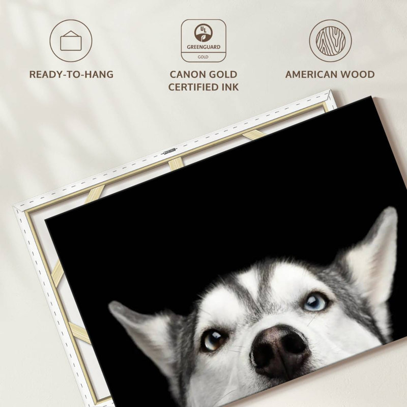 Peeking Siberian Husky, 8" H x 12" W