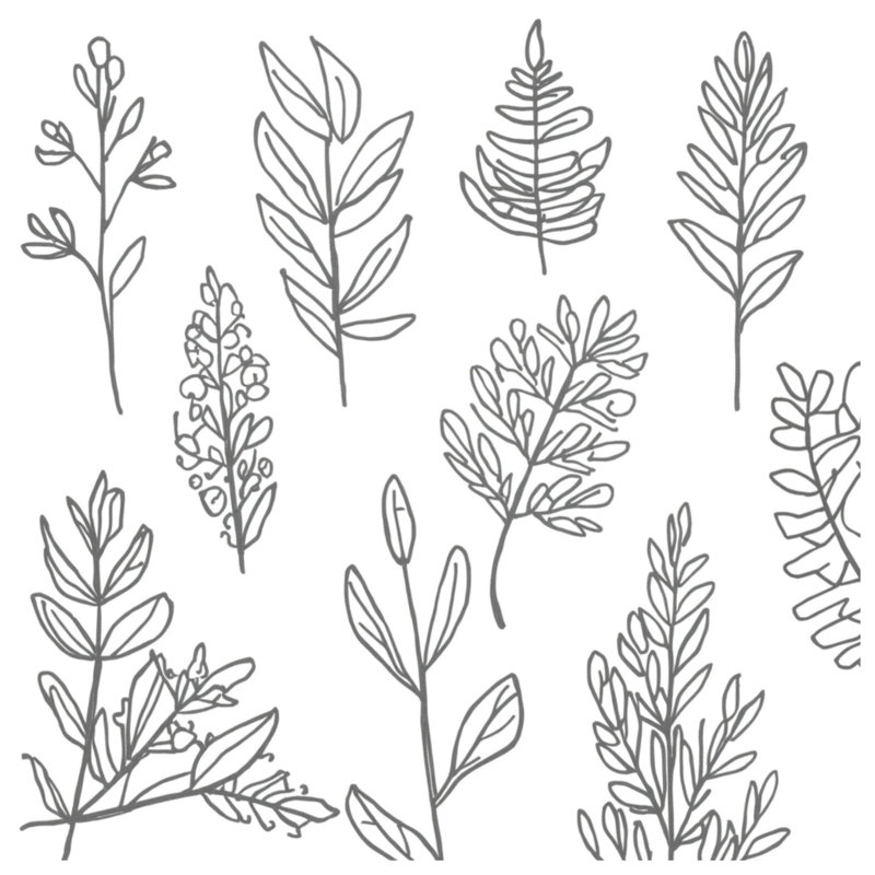Line Drawing Foliage Blankets, 50in W x 60in H