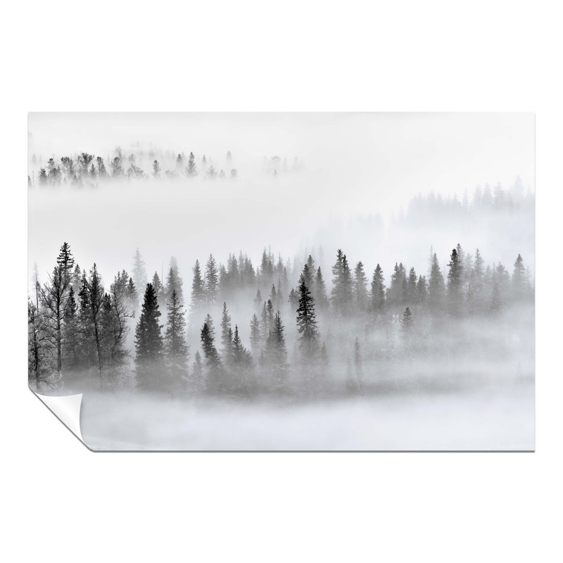 Misty Forest Trees - No Frame Print, 51cm H x 76cm W x 0.5cm D