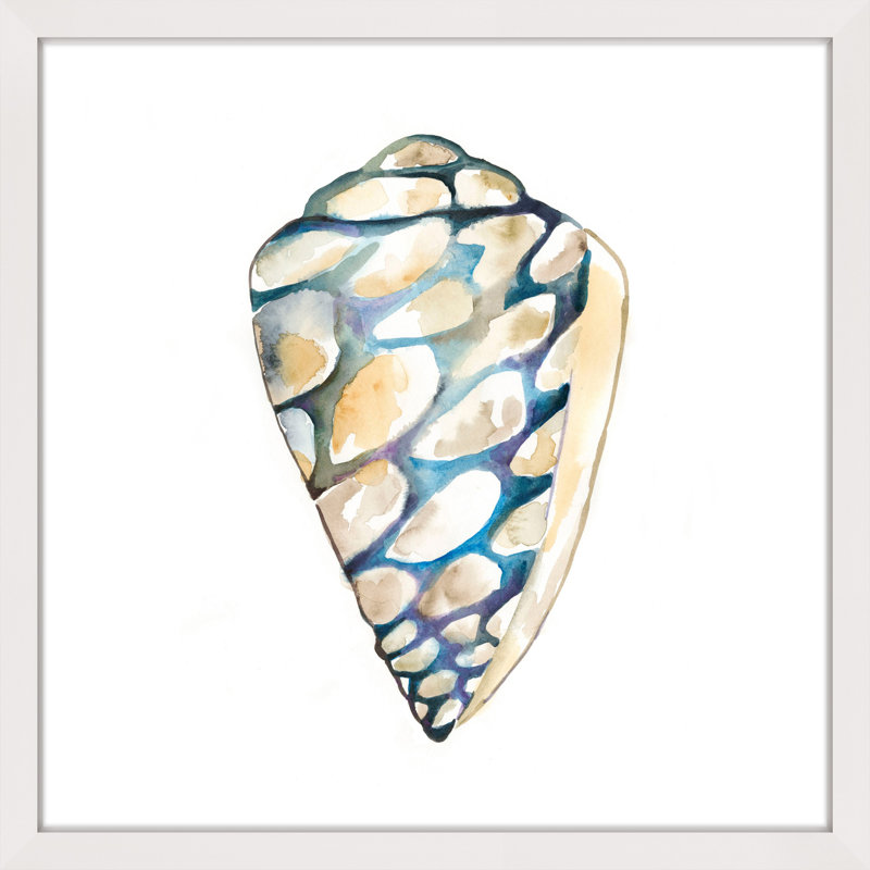 "Aquarelle Shells III" Framed Print, 24" H x 24" W x 1.5" D