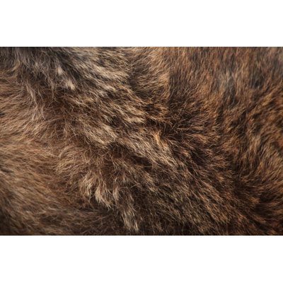 " Brown Bear Fur "