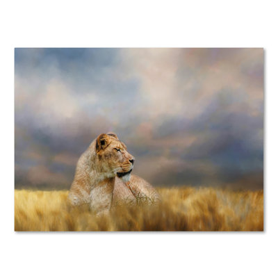 'Lioness After the Storm' Graphic Art Print on Wrapped Canvas