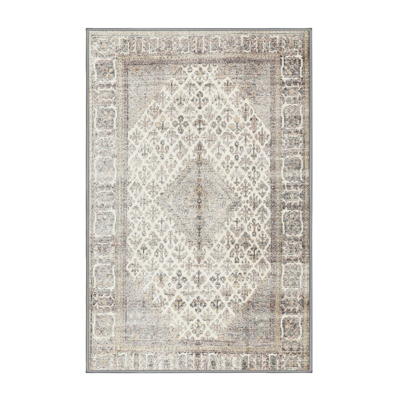 Villebois Oriental Indoor Rug, Rectangle 7' x 10'