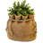 Adwait Handmade Pot Planter