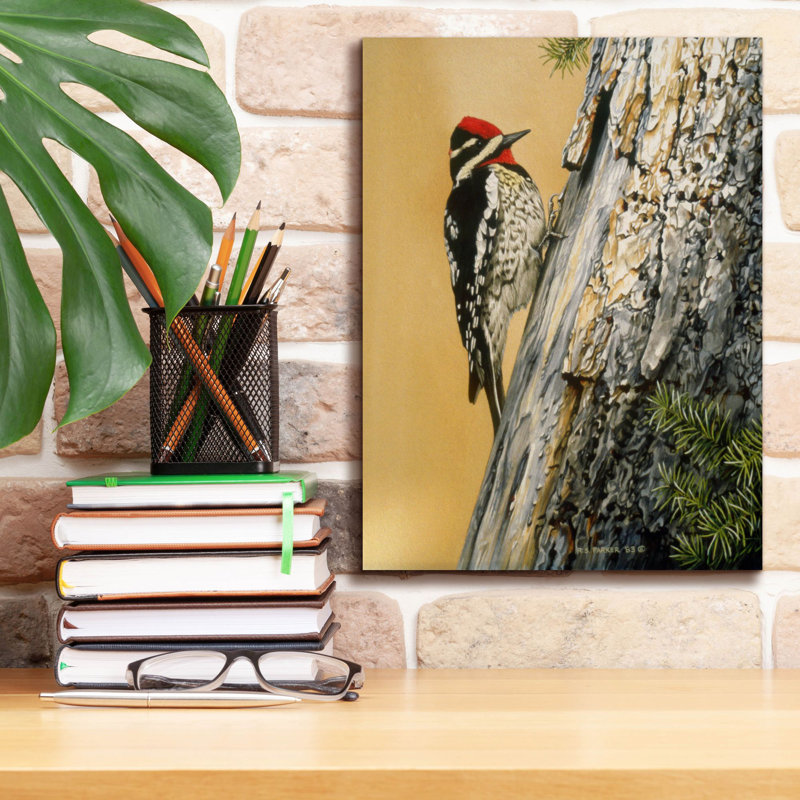 «Yellow Bellied Sapsucker» sur toile par Ron Parker, H 16 po x l 12 po x P 0,75 po