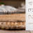 Natural Fiber Handwoven Jute Geometric Indoor Use Only Rug-2069607407